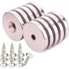 16X 5mm Delik  7/4 Neodyum Magnet (Havşa Delik)