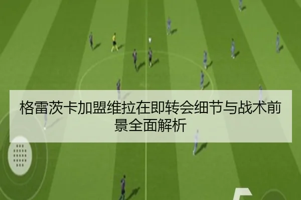格雷茨卡加盟维拉在即转会细节与战术前景全面解析